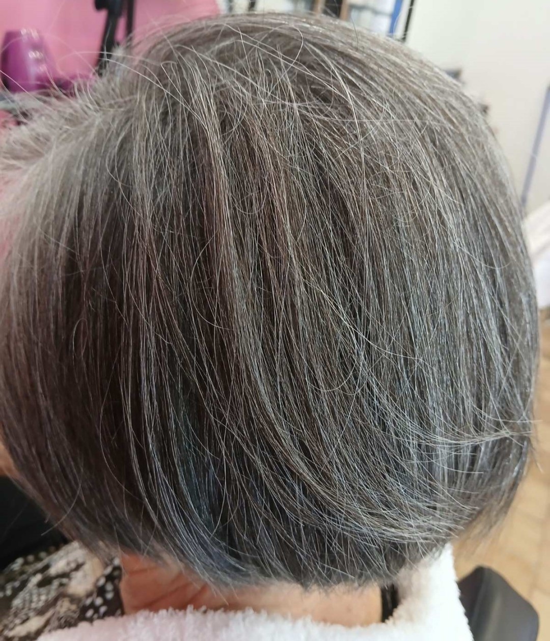 Sv. Mina, Beograd LookBook