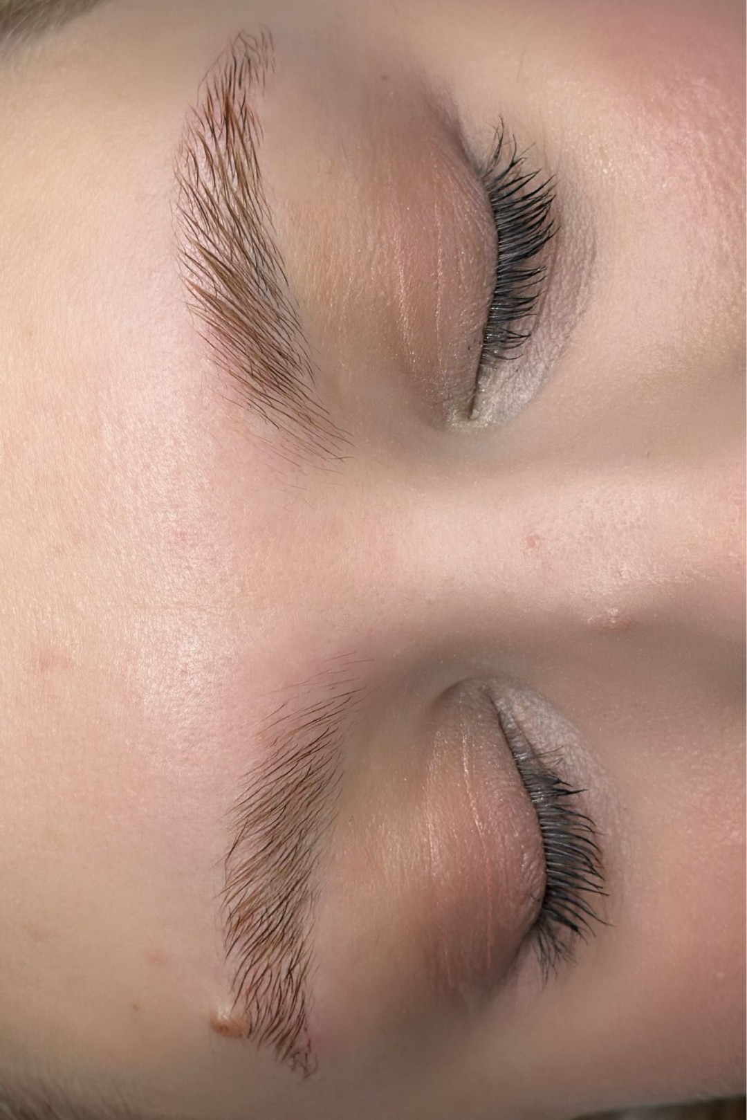 Vanilla rain beauty #beograd Obrve Brow lift