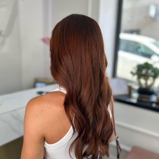 Esthetique Privé #beograd Šišanje Master šišanje + feniranje +total repair maska - sve dužine
