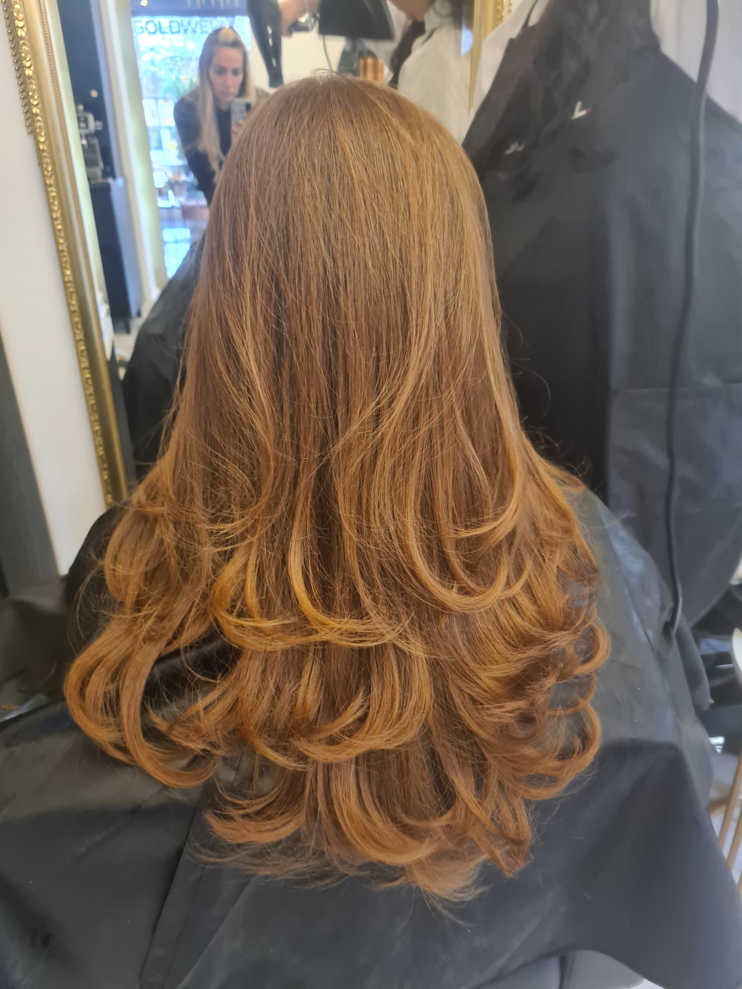 Esthetique Privé #beograd Farbanje kose Farbanje cele dužine - GOLDWELL, MONPLATIN - duga kosa