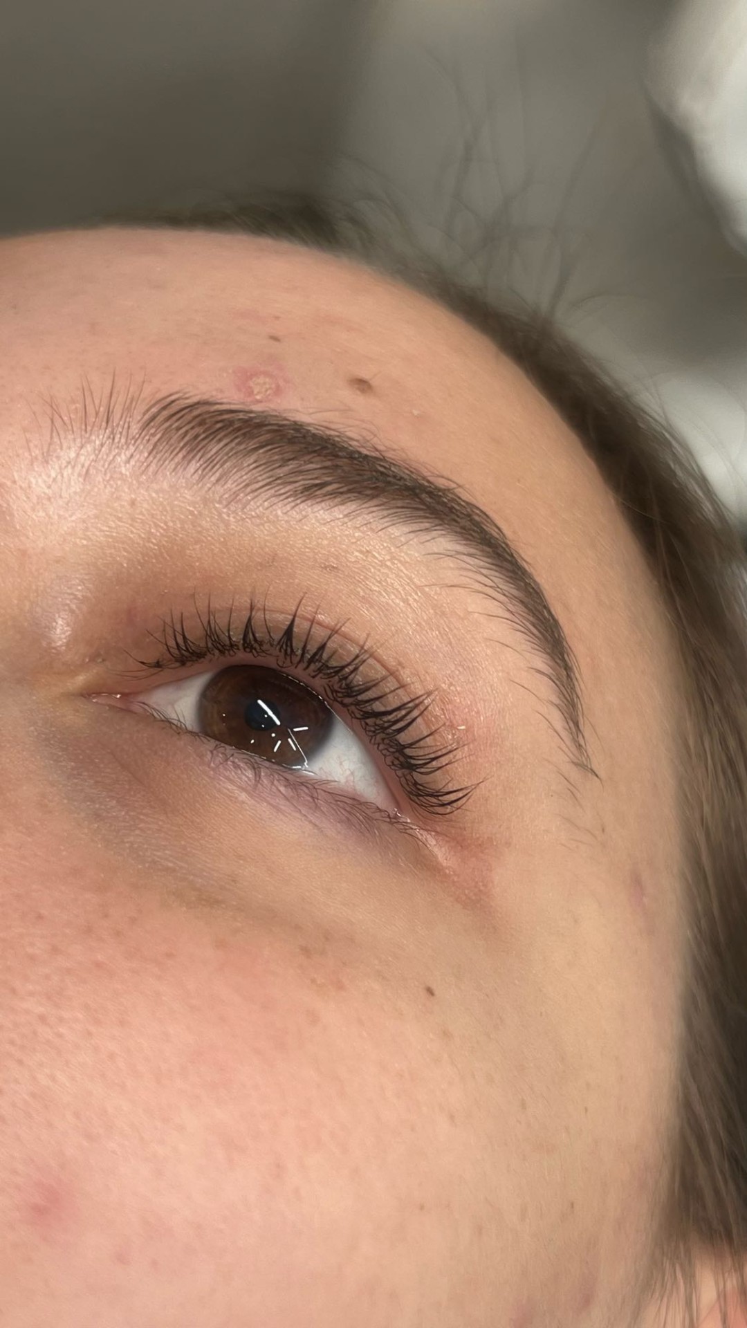 Alexandria Brow&Beauty lounge #beograd Trepavice Lash lift