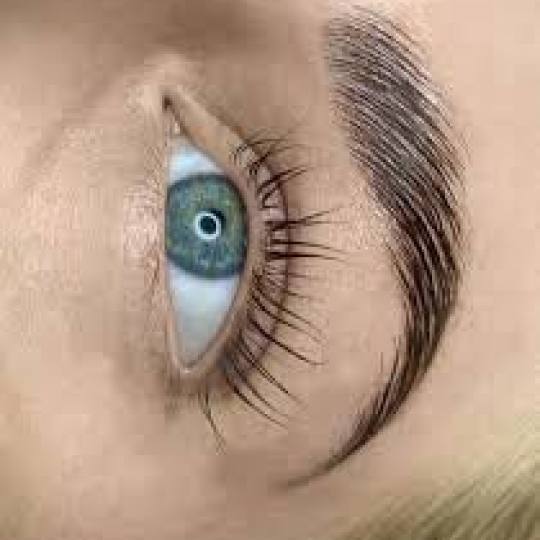 Alexandria Brow&Beauty lounge #beograd Trepavice Lash lift + brow lift