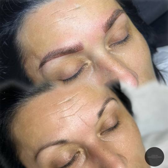 Atelier Beauty Bar #nis Obrve Combo Brows