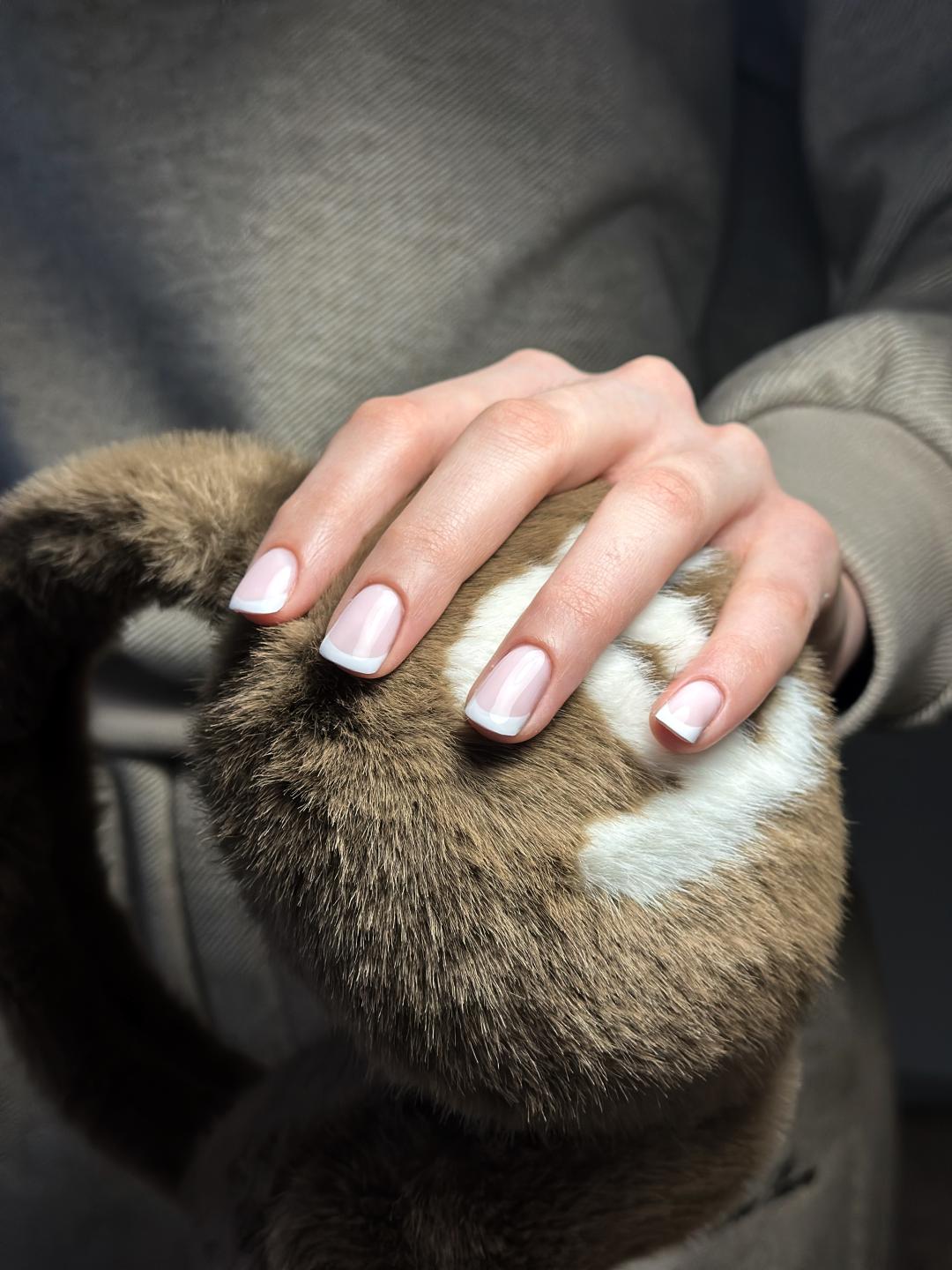 Lui beauty concept #beograd Manikir Manikir + gel lak - S dužina