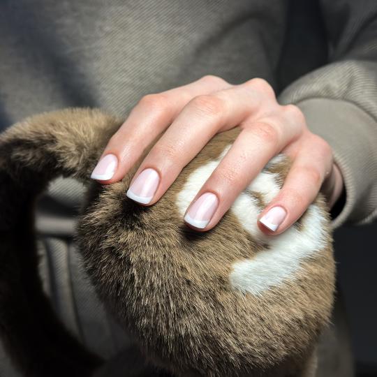 Lui beauty concept usluga