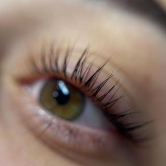 Alexandria Brow&Beauty lounge usluga
