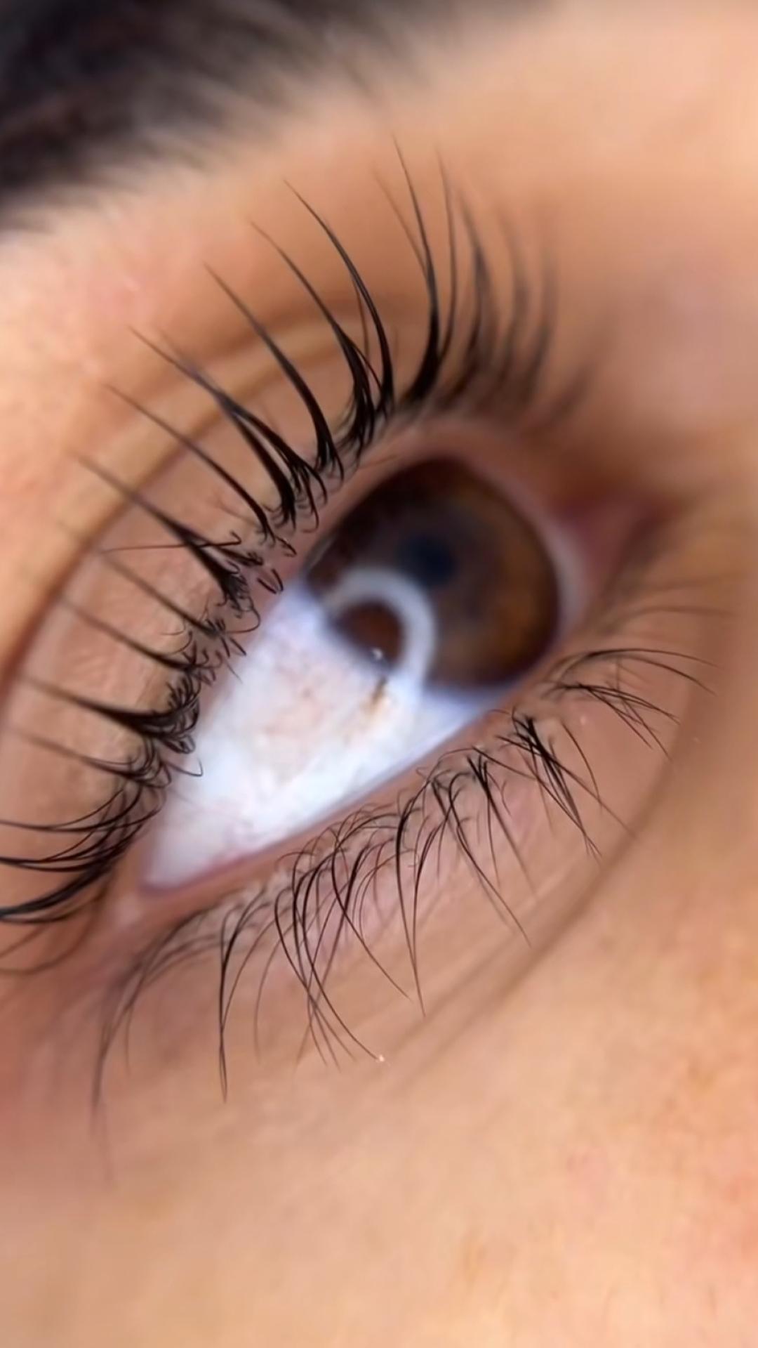 Brow lift + Lash lift - Esthetique Privé, Beograd Obrve Lice Obrve, Beograd, Centar, Stari grad, Dorćol