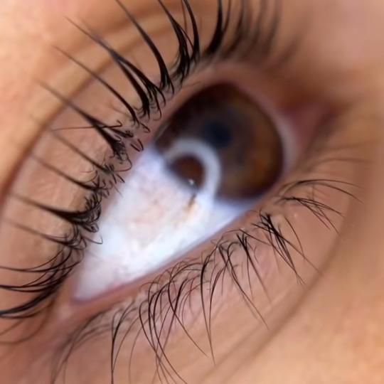 Esthetique Privé #beograd Obrve Brow lift + Lash lift