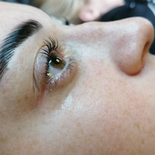 Beauty Studio Asja 2 #novisad Trepavice Lash lift