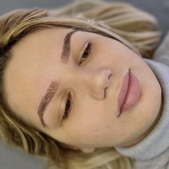 Beauty by Tamara #beograd Obrve Akcija Puder obrve Prirodne puder obrve