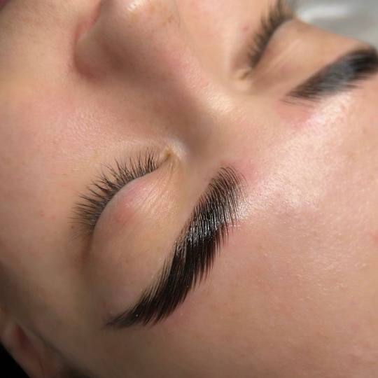 Xenija Beauty Room #beograd Obrve Brow lift + farbanje obrva
