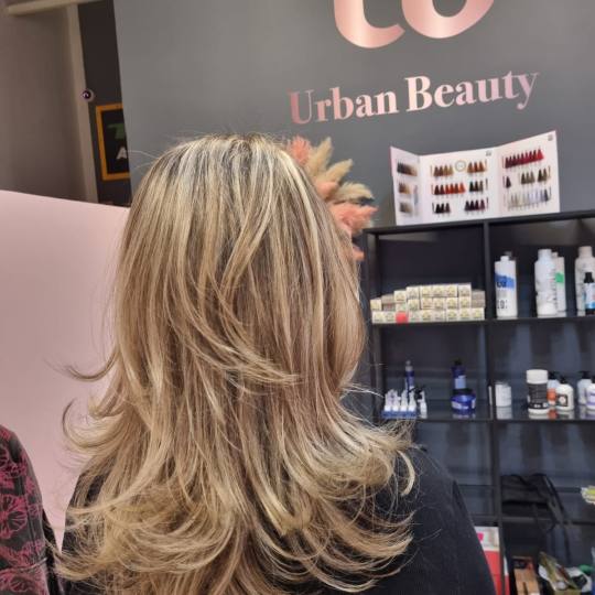 Urban beauty #beograd Pramenovi Pramenovi na foliju/Balayage /Ombre/ Sombre + preliv - duga kosa (ko