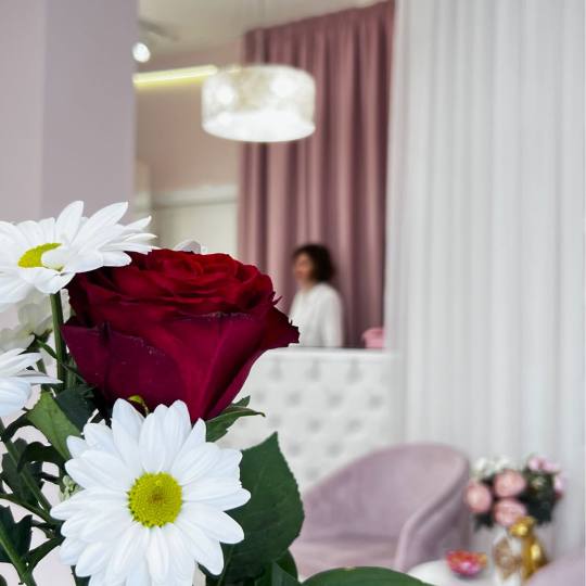 Royal cat #beograd Manikir Ruski manikir + gel lak Ruski salon istovremenih usluga u 4-6 ruku