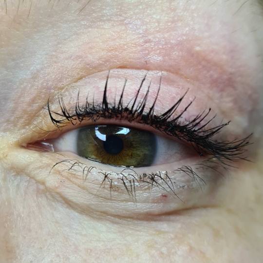 SunBox #beograd Trepavice Lash lift