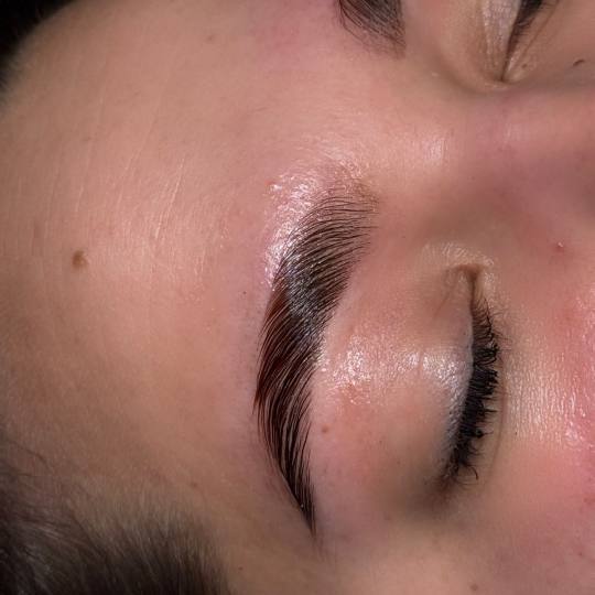 Alexandria Brow&Beauty lounge #beograd Obrve Brow lift