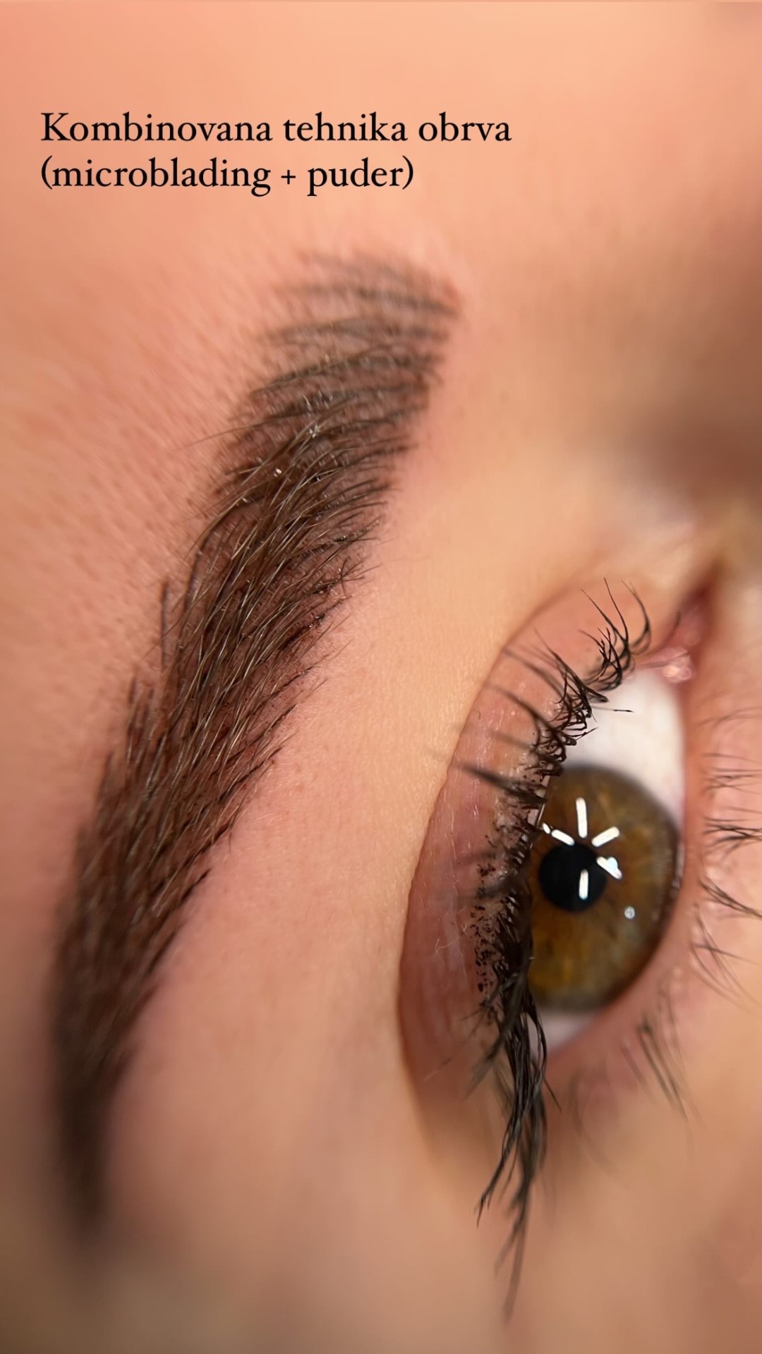 Nectarius Brows Academy #kragujevac Obrve Trajna šminka obrva + korekcija nakon mesec dana - combo brows