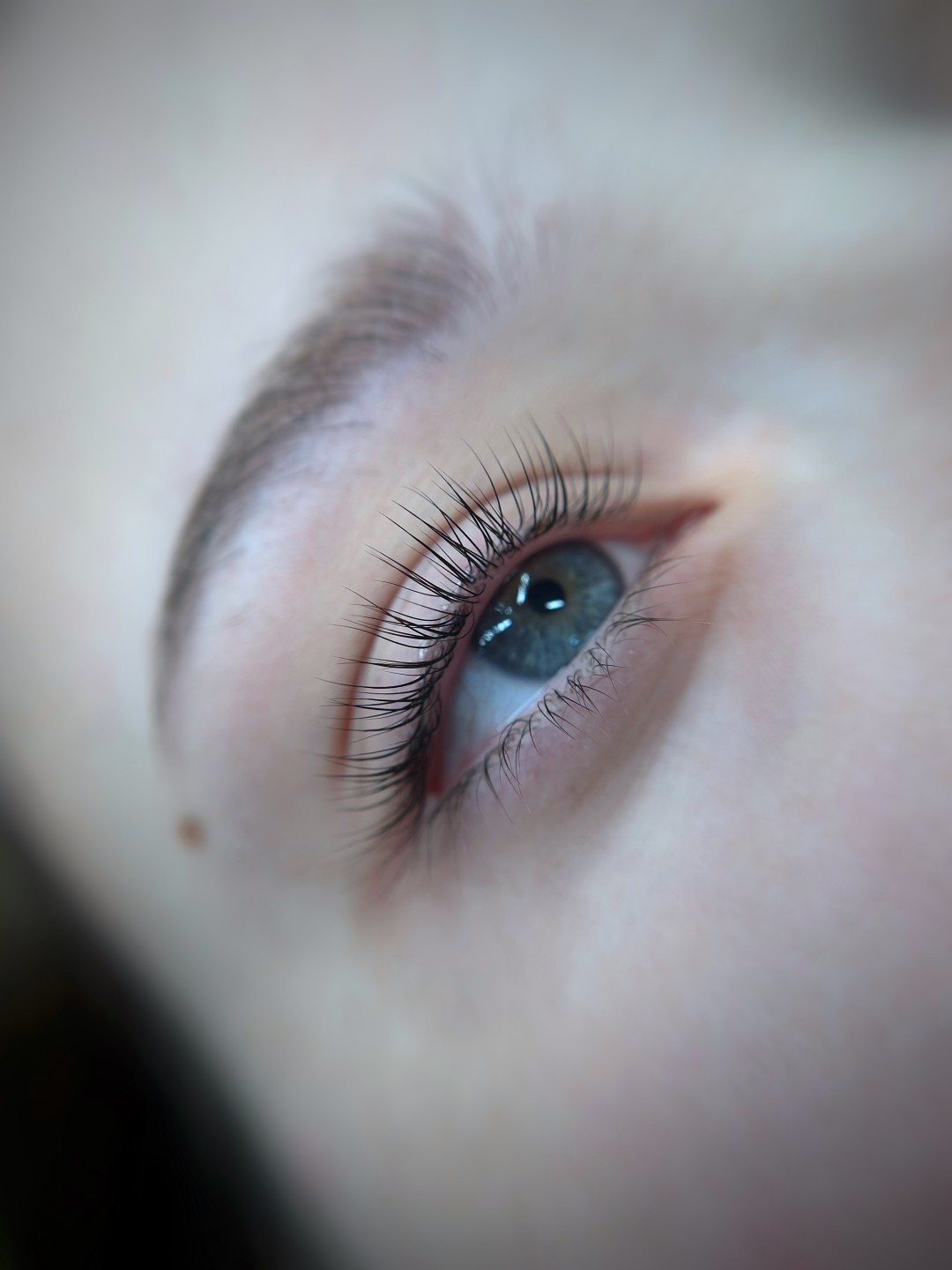 ElenA Studio #novisad Trepavice Lash lift