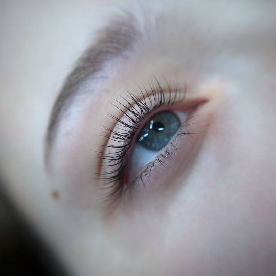 ElenA Studio #novisad Trepavice Lash lift Laminacija trepavica