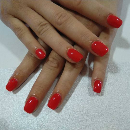 Diamond 555 #beograd Gel lak Gel lak Gel lak U cenu je uključeno skidanje prethodnog gel laka ukoli