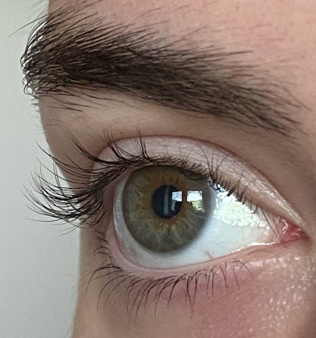 Studio 3S #beograd Trepavice Lash lift