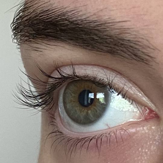 Studio 3S #beograd Trepavice Lash lift