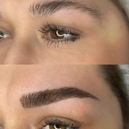 Esthetique Privé #beograd Trajna šminka Trajna šminka obrva - PHI BROWS + SHADING - kombinovana t