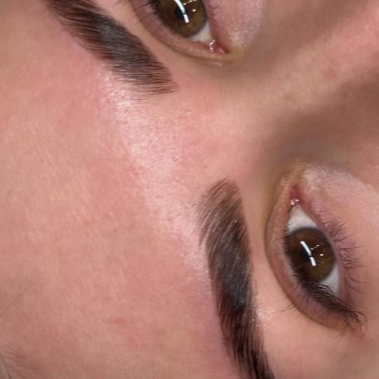 Alexandria Brow&Beauty lounge #beograd Make-up / šminkanje Laminacija obrva + farbanje obrva kanom 