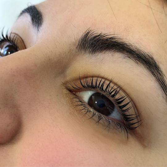 D&D Beauty Center #beograd Trepavice Lash lift