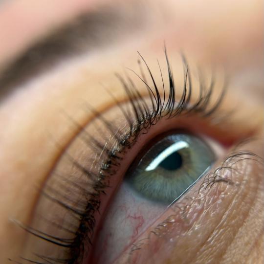 Alexandria Brow&Beauty lounge #beograd Trepavice Lash lift