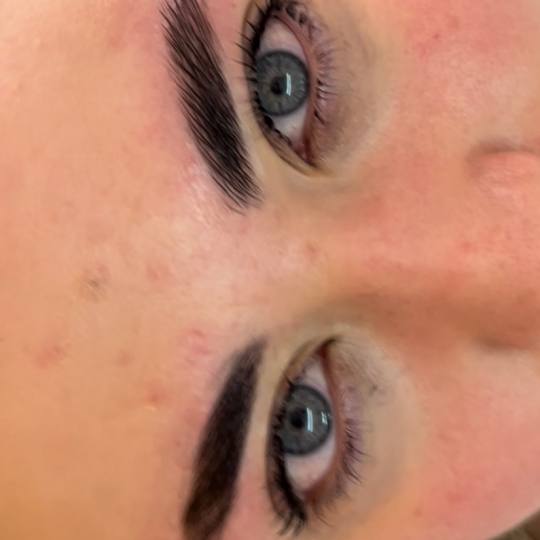 Di Nails Academy #beograd Obrve Brow lift + farbanje obrva