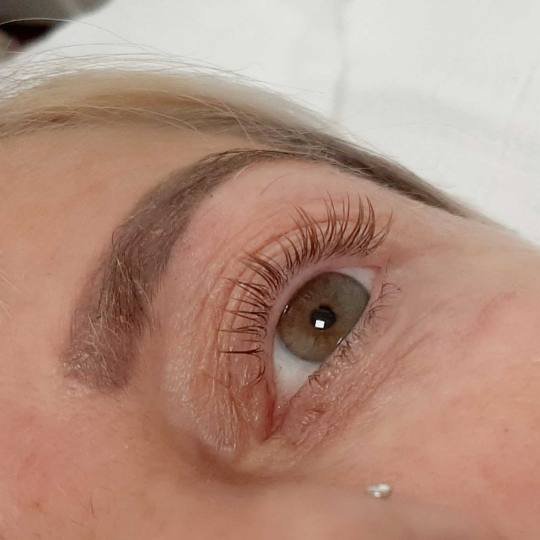 Felicita #beograd Trepavice Lash lift