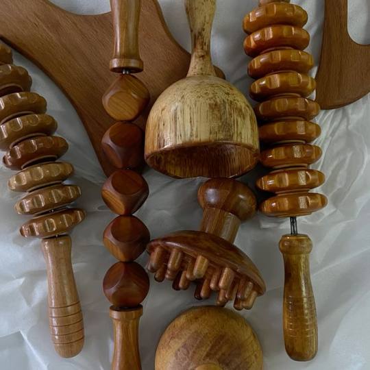 Mina Wellness usluga