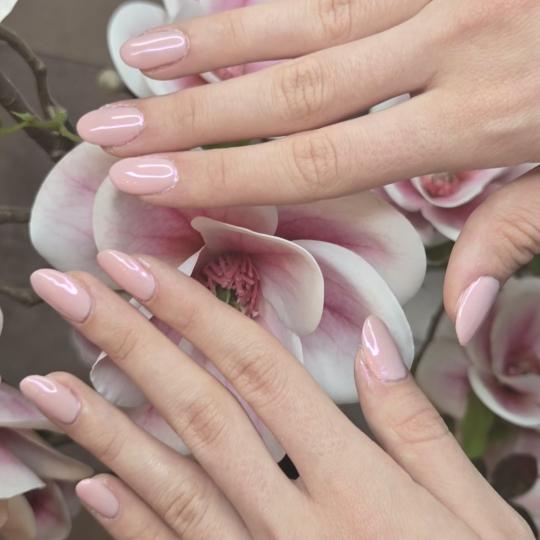 Adiantum Estetik Centar #nis Gel lak Gel lak - ruke