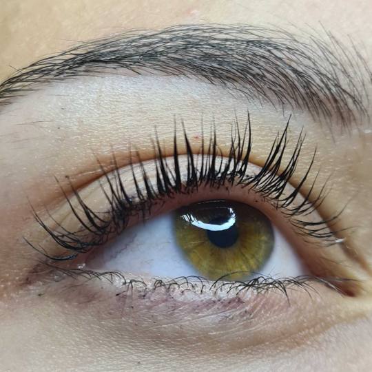 SunBox #beograd Trepavice Lash lift