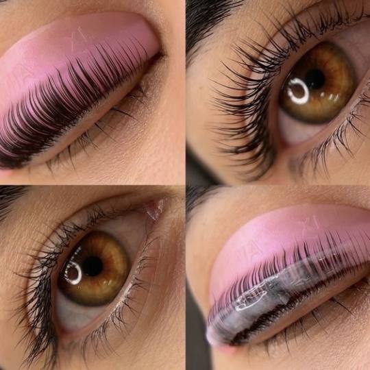 Lion King #beograd Trepavice Lash lift