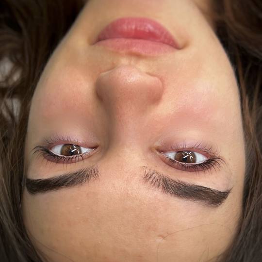 Alexandria Brow&Beauty lounge #beograd Trepavice Lash lift