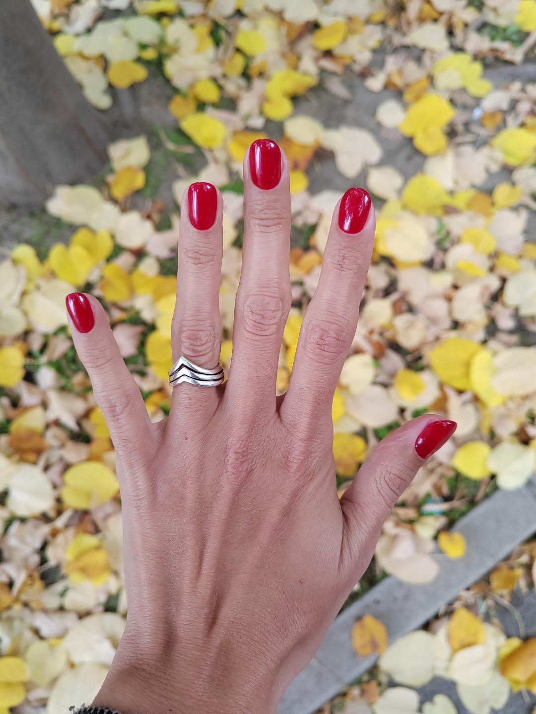 Fearless Beauty Studio #beograd Manikir Manikir + gel lak (kombinovani manikir)