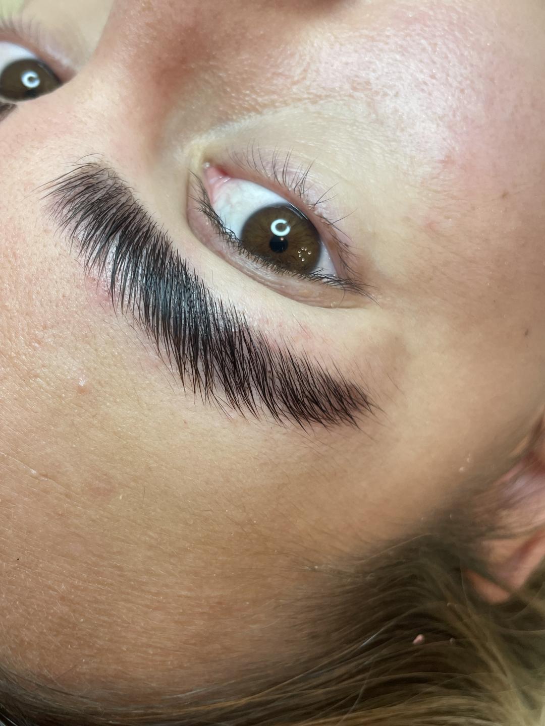 Brow lift - Elle beauty center, Novi Sad Obrve Lice Obrve, Novi Sad, Grbavica, Liman, Adamićevo