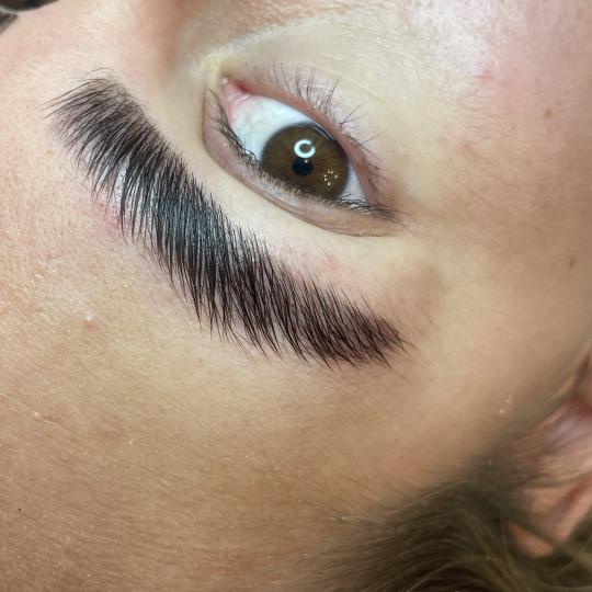 Elle beauty center #novisad Obrve Brow lift