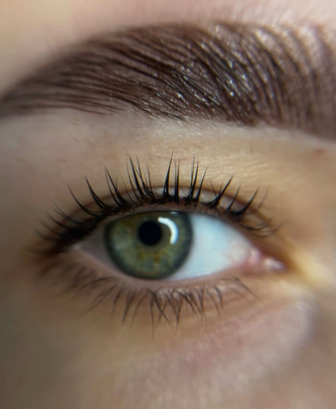 Hermanita beauty studio #beograd Obrve Lash / brow box