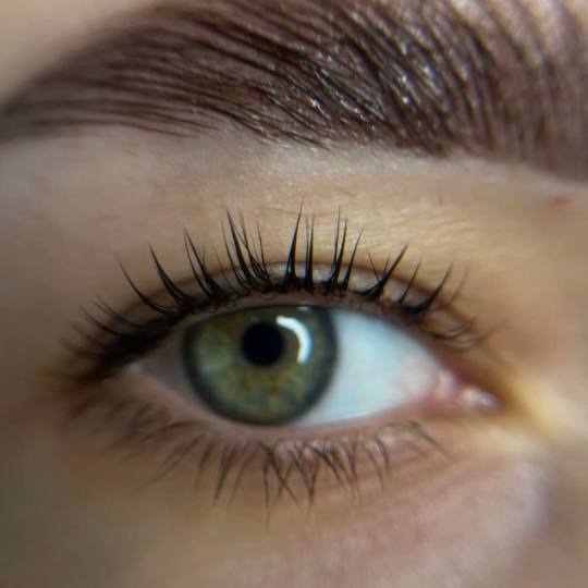 Hermanita beauty studio #beograd Obrve Lash / brow box