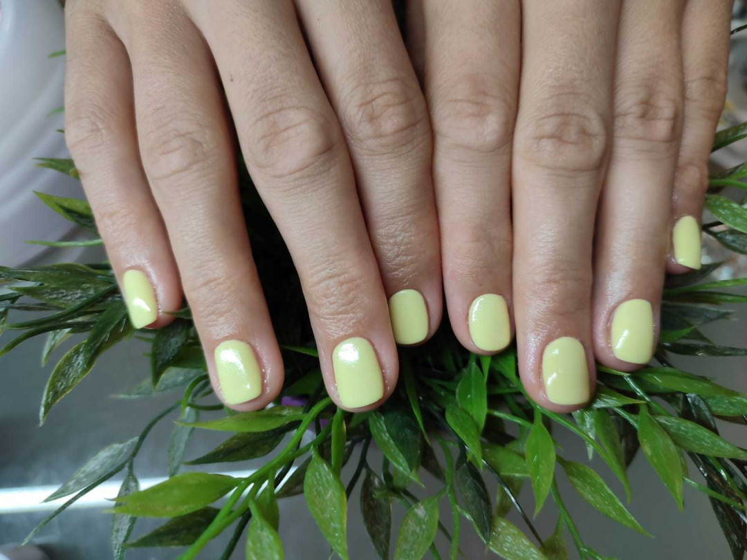 Bibi beauty centar #beograd Gel lak Gel lak - ruke
