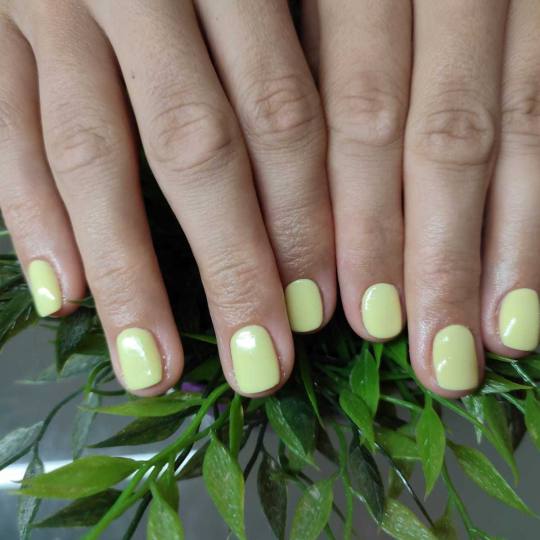 Bibi beauty centar #beograd Gel lak Gel lak - ruke bibi gel lak