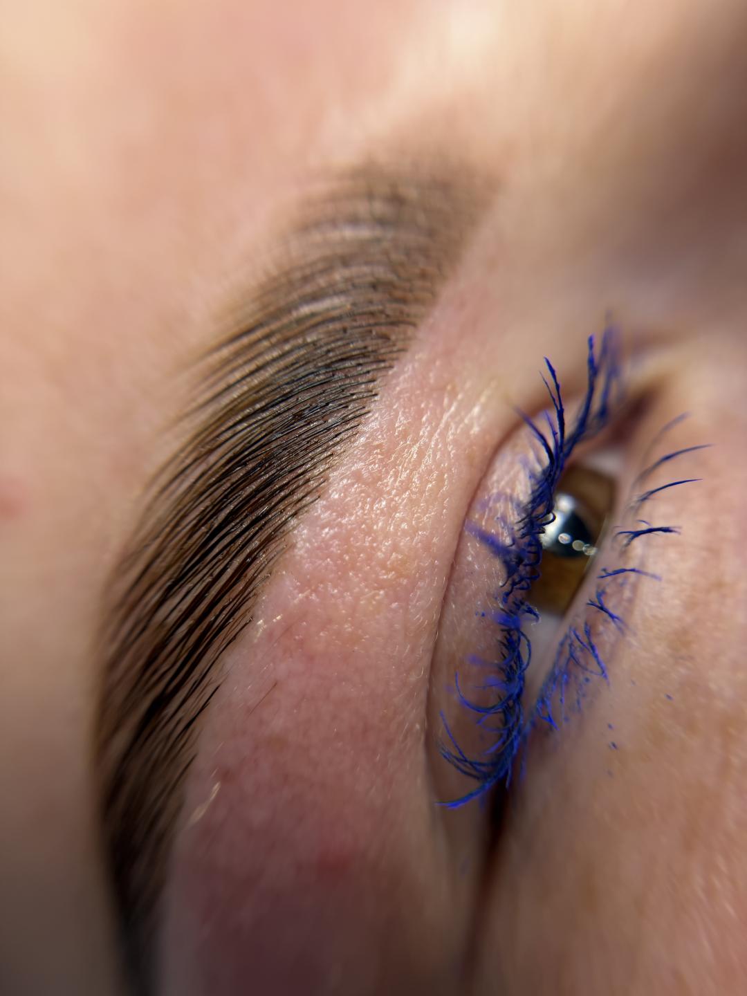 Brow lift - Alexandria Brow&Beauty lounge, Beograd Obrve Lice Obrve, Beograd, Centar, Stari grad, Dorćol