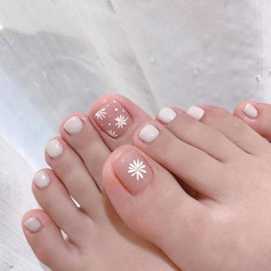 Avalon #novisad Gel lak Gel lak - noge 1500 din