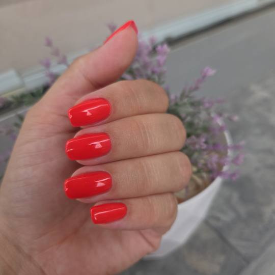 Starmedic #beograd Manikir Ruski Manikir + trajni lak Manikir