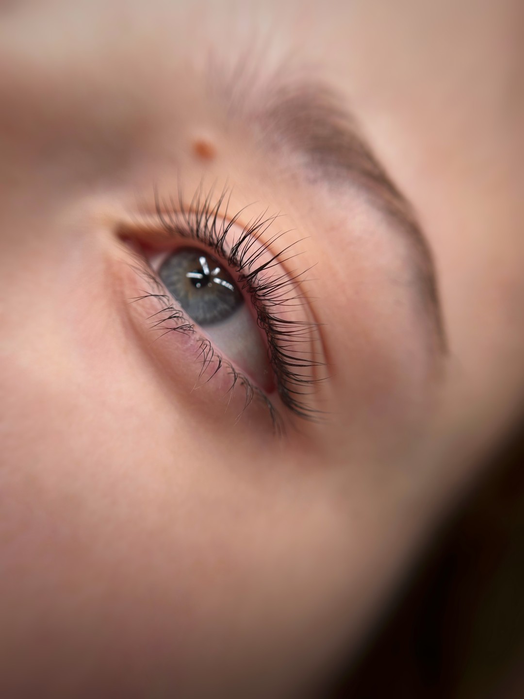 ElenA Studio #novisad Trepavice Lash lift