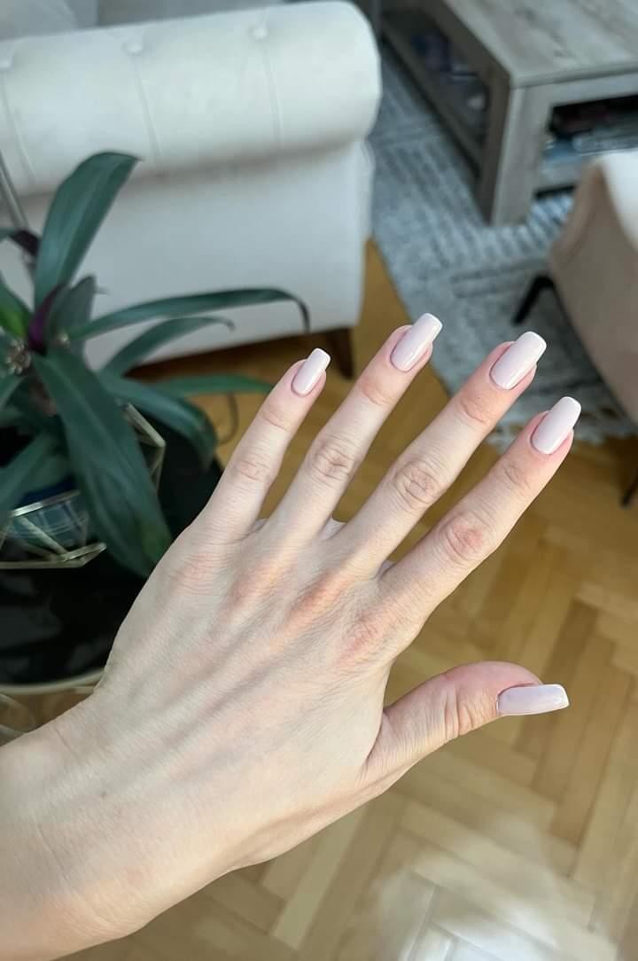 Salončić, Beograd LookBook