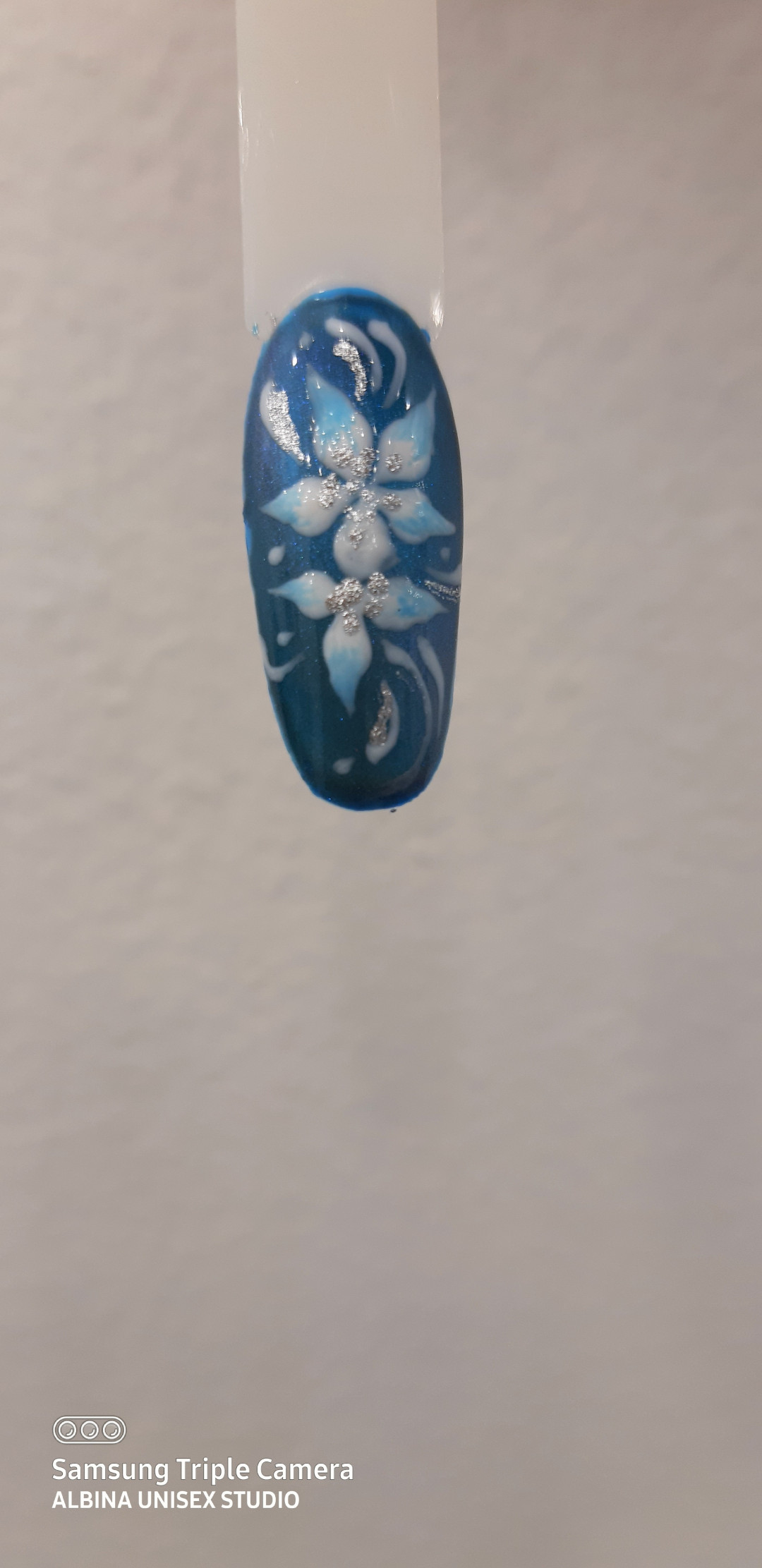 Albina Unisex Studio Lepote #temerin Ukrašavanje noktiju Nail art - 1 nokat