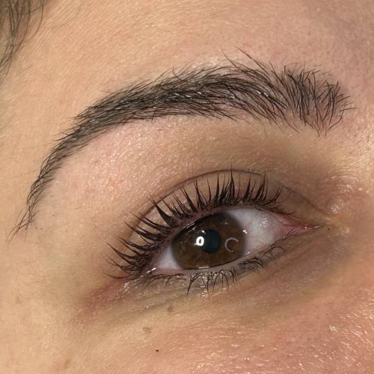 Ena beauty studio #nis Trepavice Lash lift